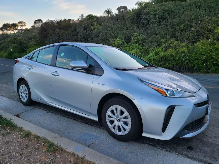 Avis Car Rental Picture 4