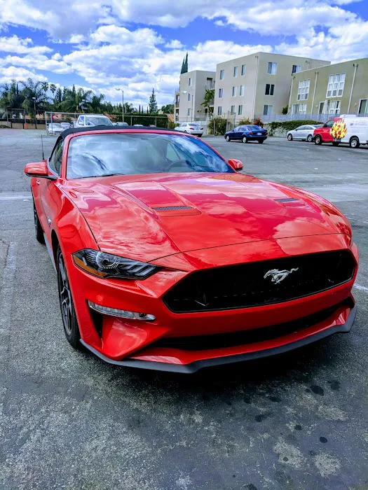 Budget Car Rental Picture 4
