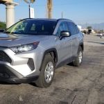 Avis Car Rental
