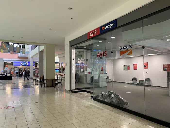 Avis Car Rental Picture 5
