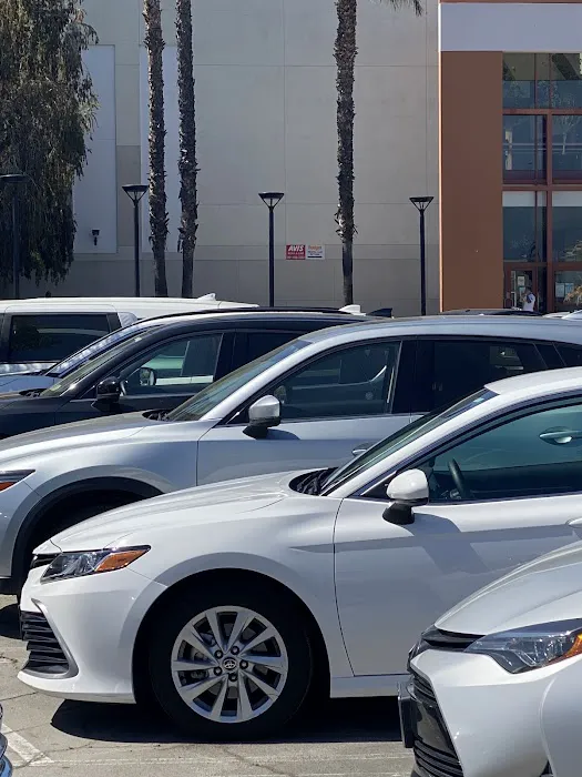 Avis Car Rental Picture 6