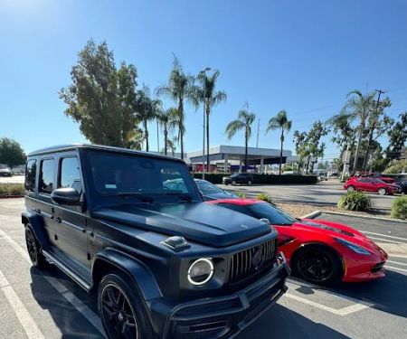 Rides Exotics