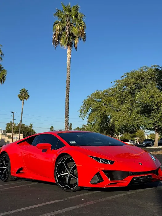 Rides Exotics Picture 4