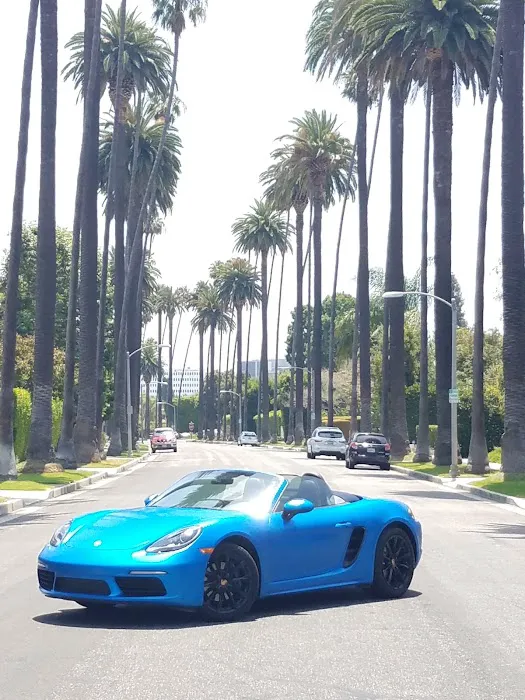 Rides Exotics Picture 8
