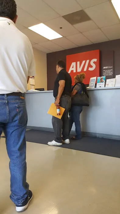 Avis Car Rental Picture 9
