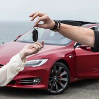 Pacific Red Rentals ico