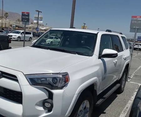 Avis Car Rental