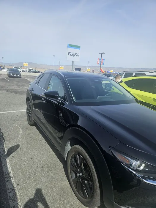 Alamo Rent A Car Picture 4