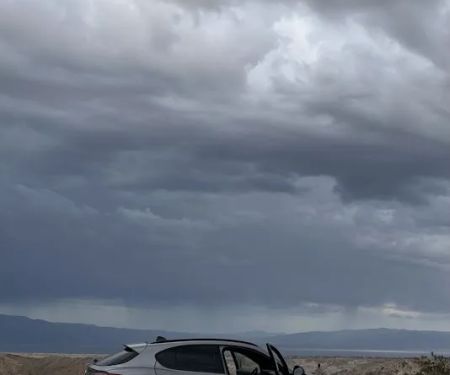 Dollar Car Rental