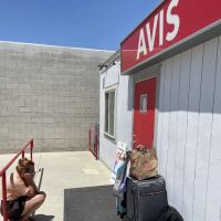 Avis Car Rental ico
