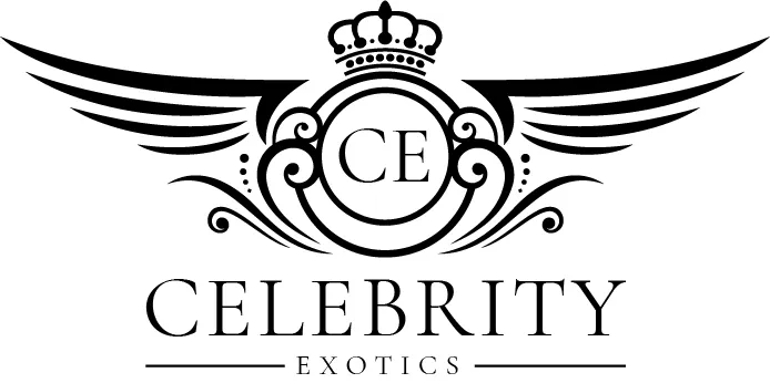 Celebrity Exotic Rentals Picture 4