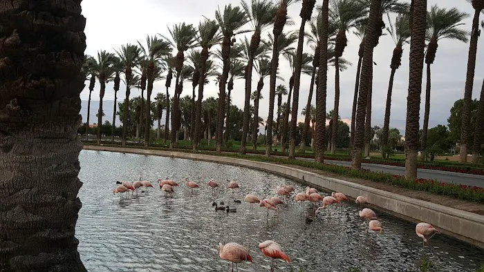 Hertz Car Rental - Palm Desert - Jw Marriott Desert Springs Picture 3