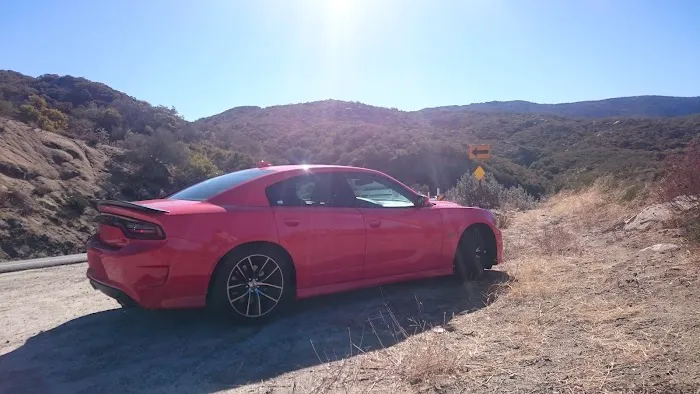 Avis Car Rental Picture 3