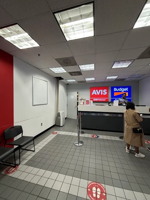 Budget Car Rental Picture 4