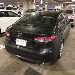 Avis Car Rental