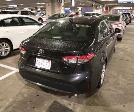 Avis Car Rental