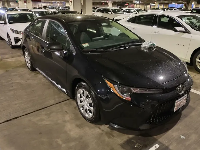 Avis Car Rental Picture 5