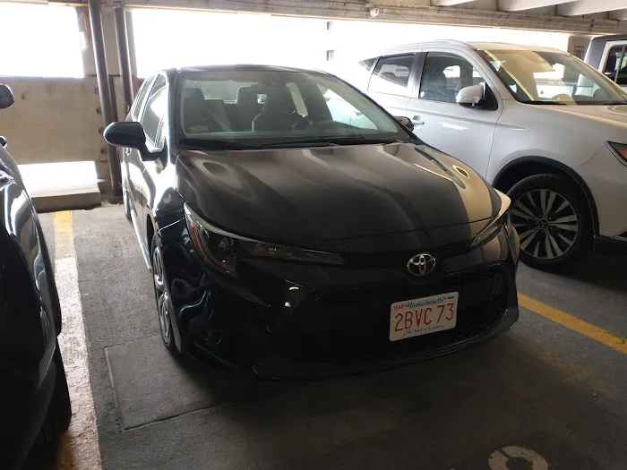 Avis Car Rental Picture 6