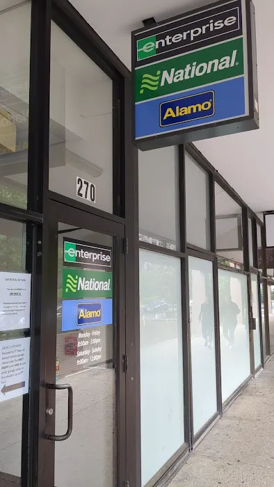 Alamo Car Rental Picture 4