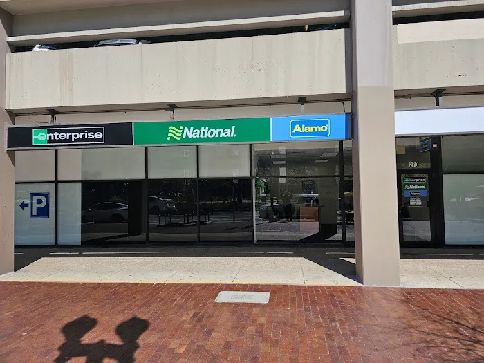 Alamo Car Rental Picture 1