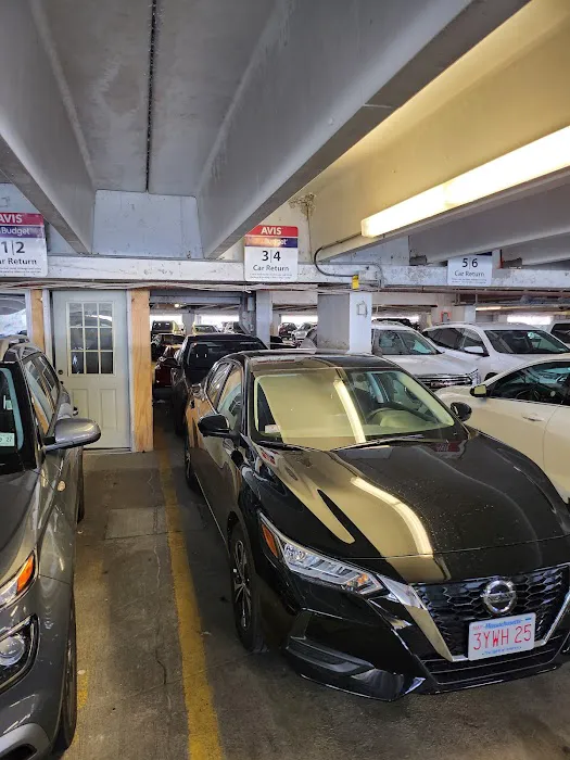 Budget Car Rental Picture 3