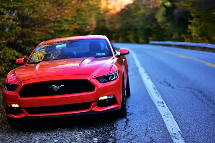 Budget Car Rental Picture 6