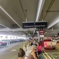 Payless Car Rental ico