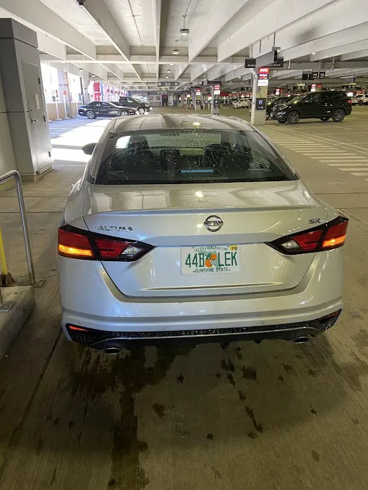 Payless Car Rental Picture 3
