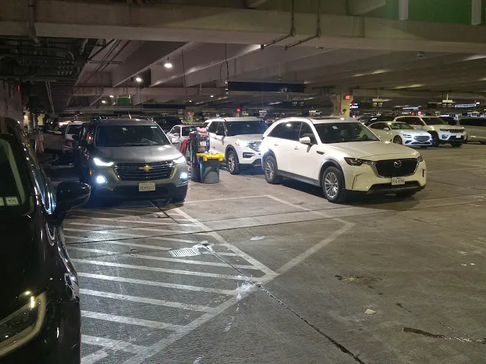 Avis Car Rental Picture 1