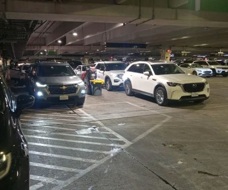 Avis Car Rental