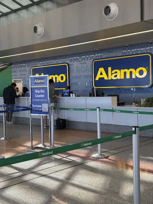 Alamo Rent A Car Picture 3