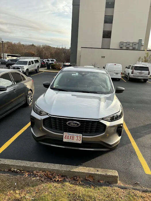 Alamo Rent A Car Picture 5