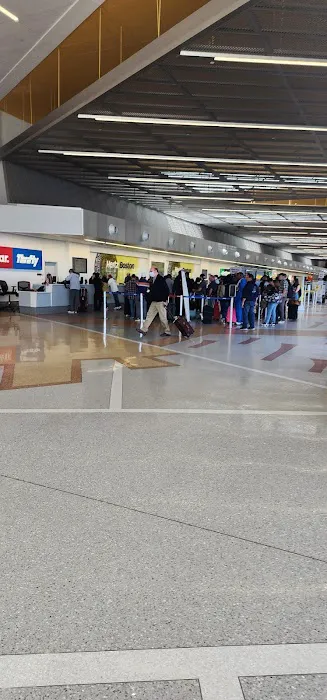 Dollar Car Rental - Boston Logan International Airport Picture 1