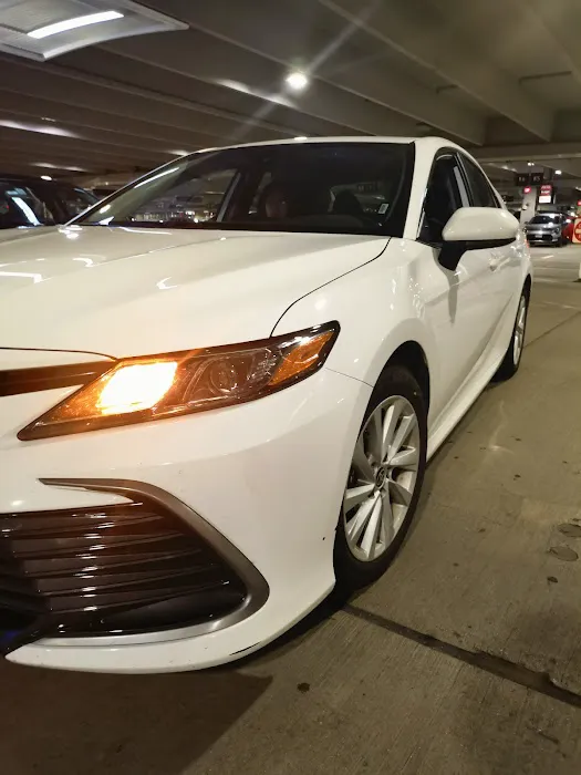 Budget Car Rental Picture 2