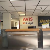 Avis Car Rental ico