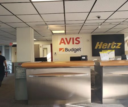 Avis Car Rental