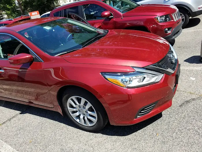 Avis Car Rental Picture 4