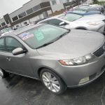 Avis Car Rental