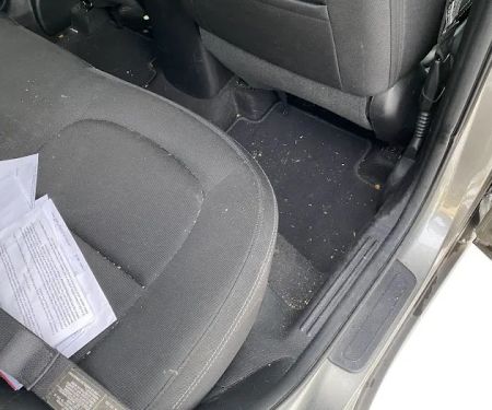 Avis Car Rental