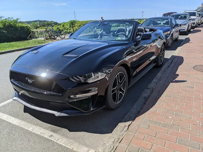 Budget Car Rental Picture 4