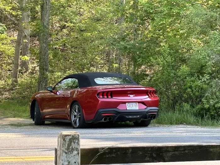 Budget Car Rental Picture 7