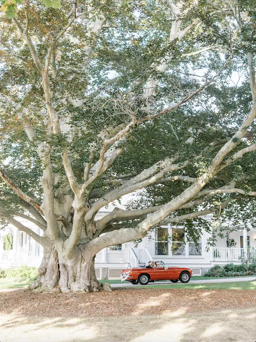 Classic Country Drives Picture 10