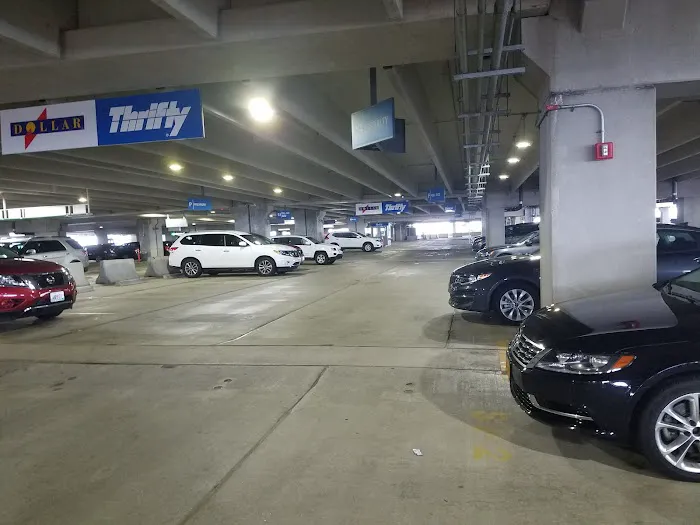 Dollar Car Rental Picture 3