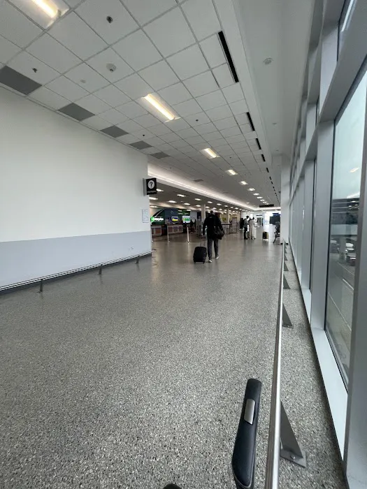 Dollar Car Rental Picture 1