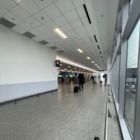 Dollar Car Rental ico