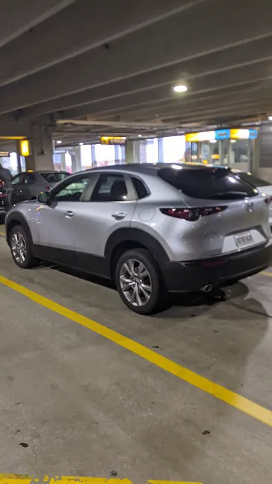 Dollar Car Rental Picture 7