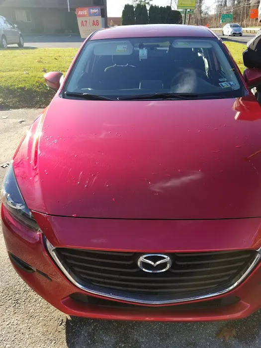 Avis Car Rental Picture 5