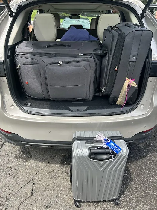 Avis Car Rental Picture 4