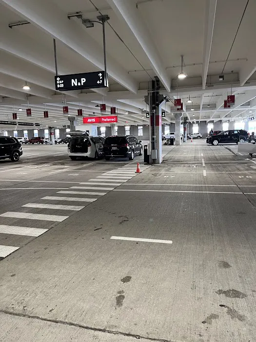 Budget Car Rental Picture 5