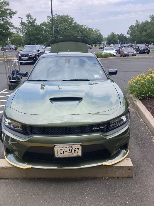 Alamo Rent A Car Picture 5